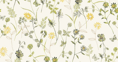 Elysium Olive